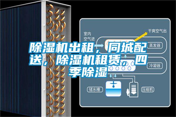 除濕機(jī)出租，同城配送，除濕機(jī)租賃，四季除濕