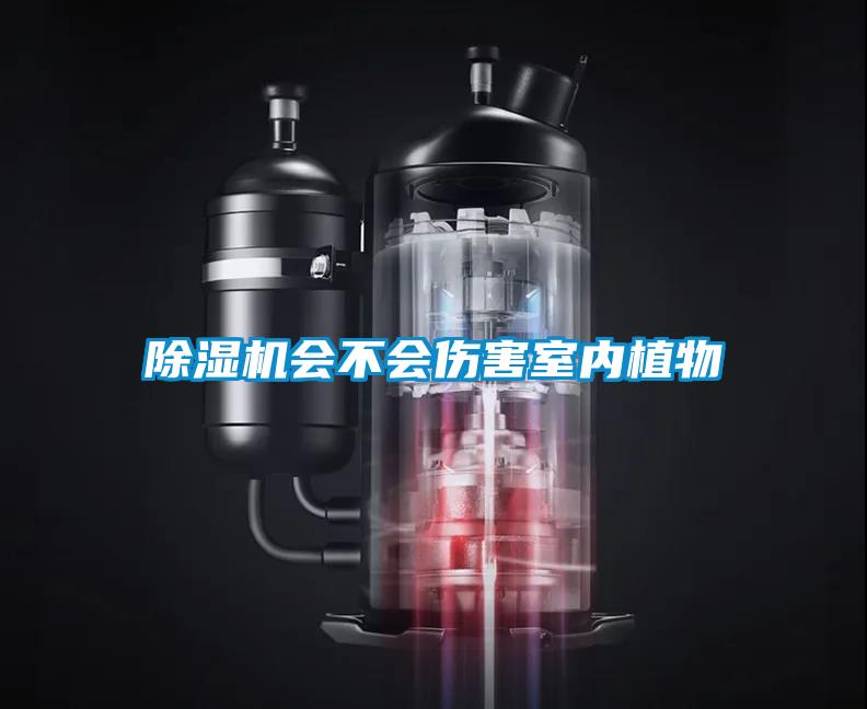 除濕機(jī)會(huì)不會(huì)傷害室內(nèi)植物
