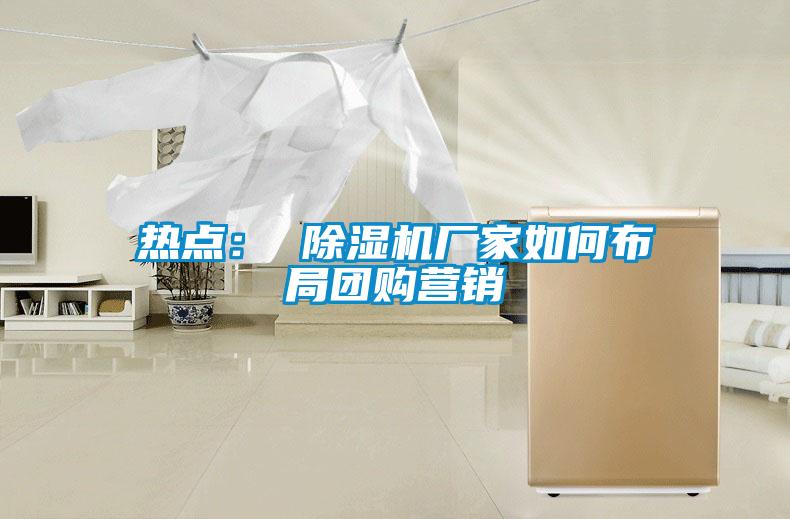 熱點(diǎn)： 除濕機(jī)廠家如何布局團(tuán)購(gòu)營(yíng)銷