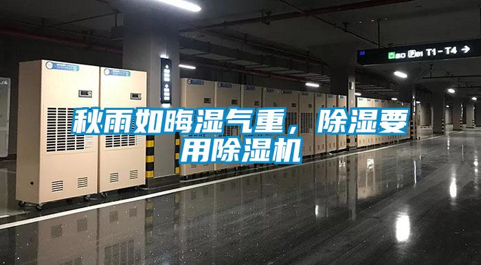 秋雨如晦濕氣重，除濕要用除濕機