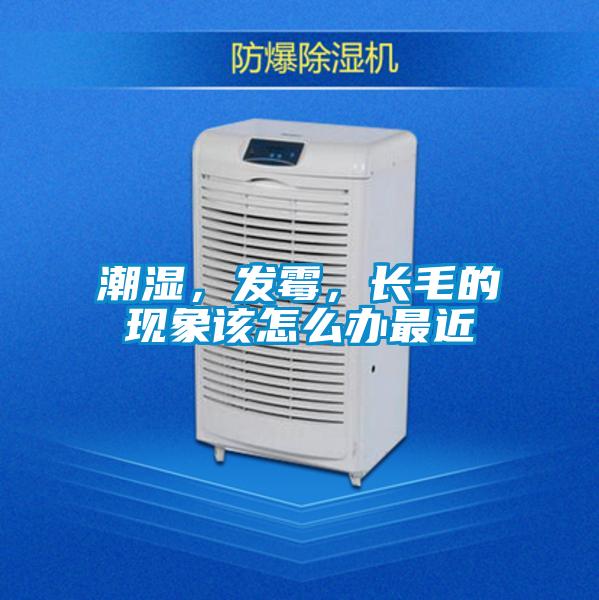潮濕，發(fā)霉，長(zhǎng)毛的現(xiàn)象該怎么辦最近