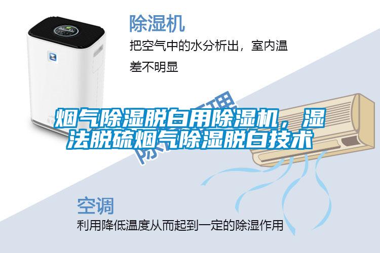 煙氣除濕脫白用除濕機(jī)，濕法脫硫煙氣除濕脫白技術(shù)