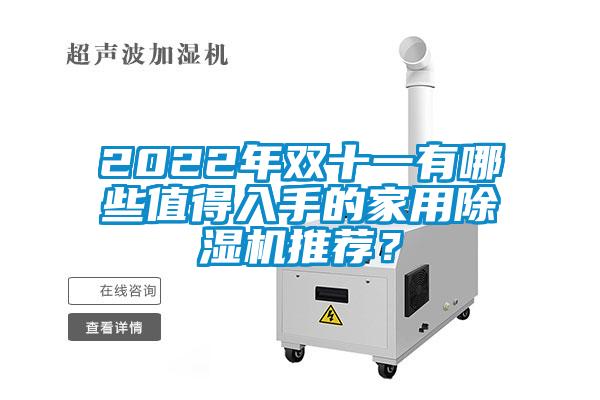 2022年雙十一有哪些值得入手的家用除濕機推薦？