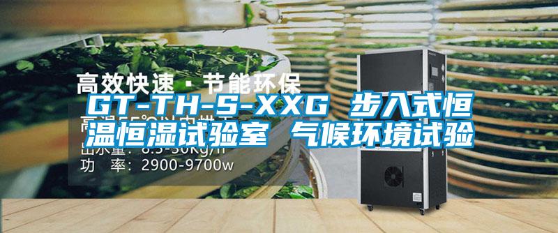 GT-TH-S-XXG 步入式恒溫恒濕試驗室 氣候環(huán)境試驗