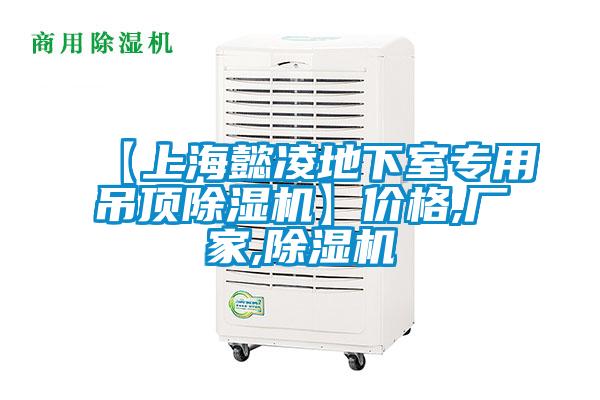 【上海懿凌地下室專用吊頂除濕機(jī)】價(jià)格,廠家,除濕機(jī)