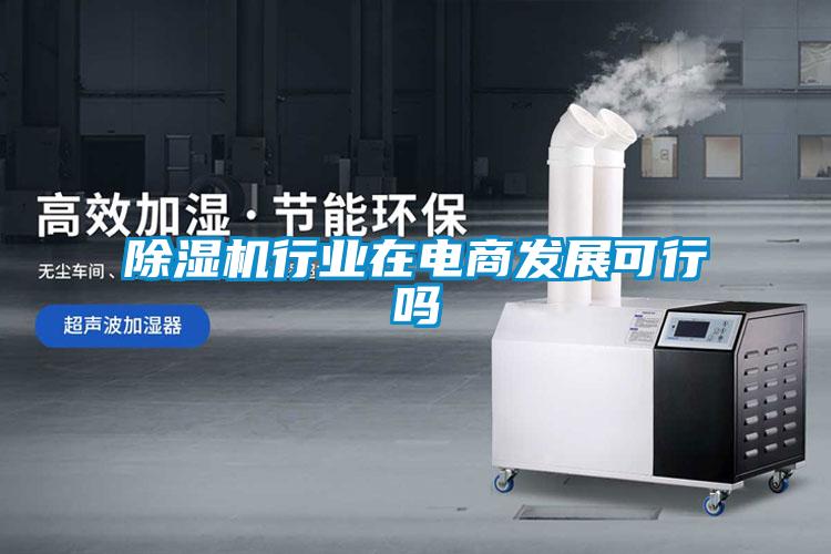 除濕機(jī)行業(yè)在電商發(fā)展可行嗎