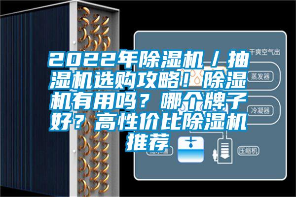 2022年除濕機／抽濕機選購攻略！除濕機有用嗎？哪個牌子好？高性價比除濕機推薦