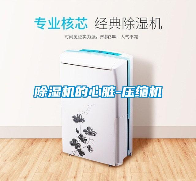 除濕機(jī)的心臟-壓縮機(jī)