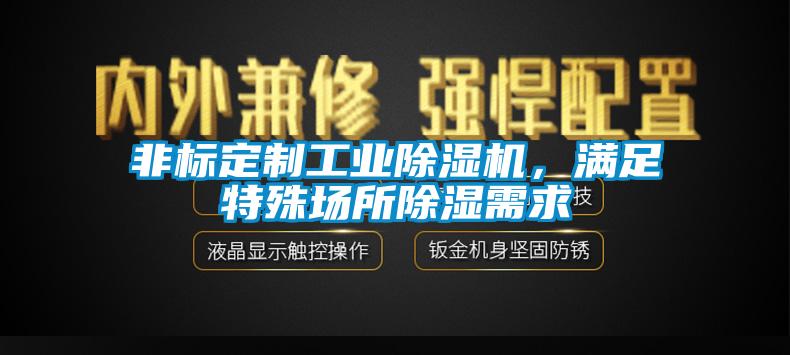 非標(biāo)定制工業(yè)除濕機(jī)，滿足特殊場所除濕需求