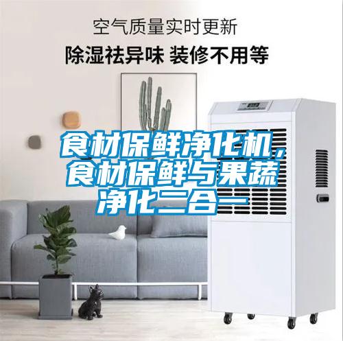 食材保鮮凈化機，食材保鮮與果蔬凈化二合一