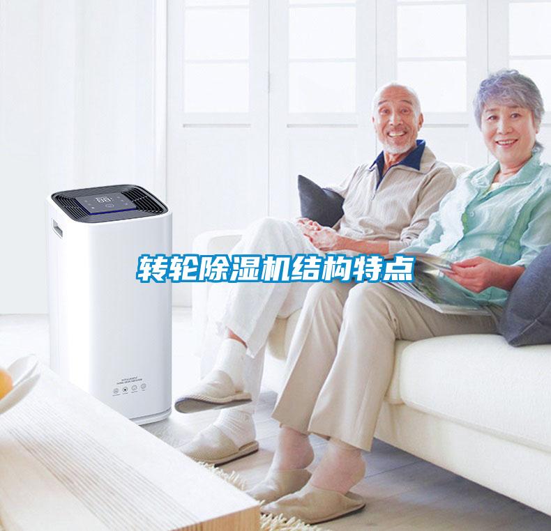 轉(zhuǎn)輪除濕機結構特點