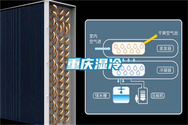 重慶濕冷