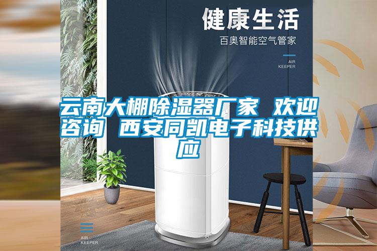 云南大棚除濕器廠(chǎng)家 歡迎咨詢(xún) 西安同凱電子科技供應(yīng)