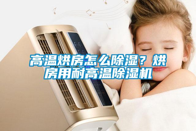 高溫烘房怎么除濕？烘房用耐高溫除濕機(jī)