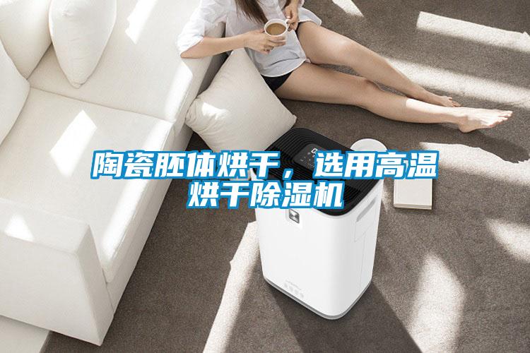 陶瓷胚體烘干，選用高溫烘干除濕機