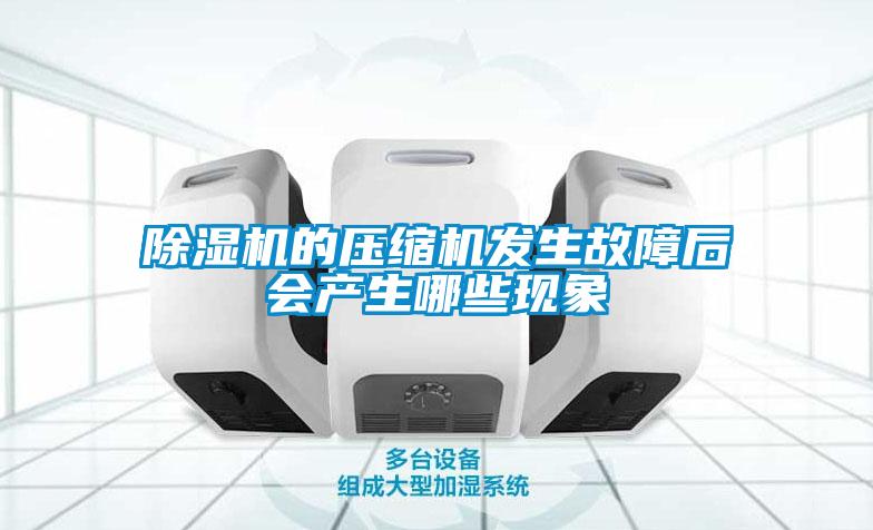 除濕機(jī)的壓縮機(jī)發(fā)生故障后會產(chǎn)生哪些現(xiàn)象