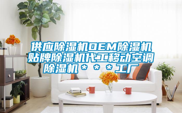 供應(yīng)除濕機(jī)OEM除濕機(jī)貼牌除濕機(jī)代工移動空調(diào)除濕機(jī)＊＊＊工廠