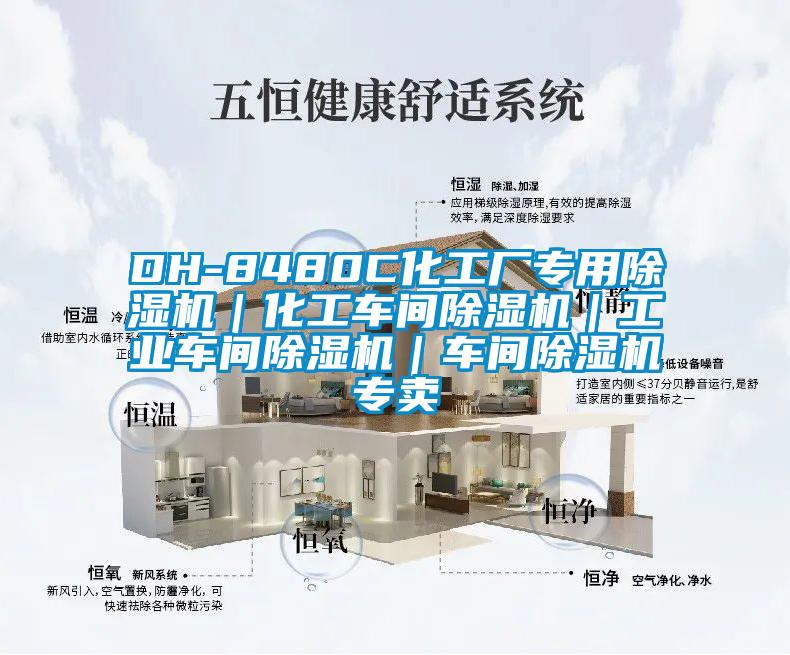 DH-8480C化工廠專用除濕機｜化工車間除濕機｜工業(yè)車間除濕機｜車間除濕機專賣