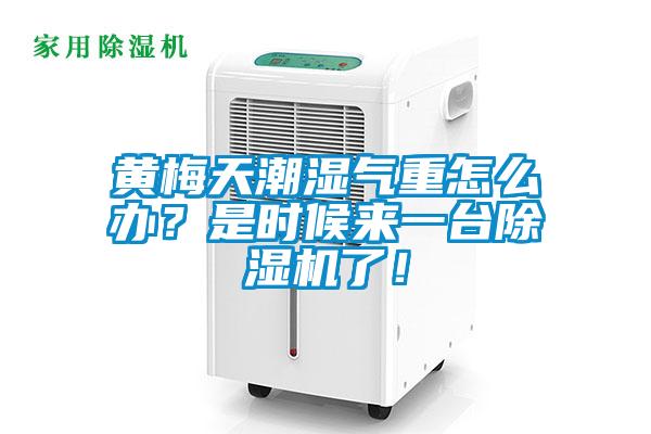 黃梅天潮濕氣重怎么辦？是時候來一臺除濕機了！