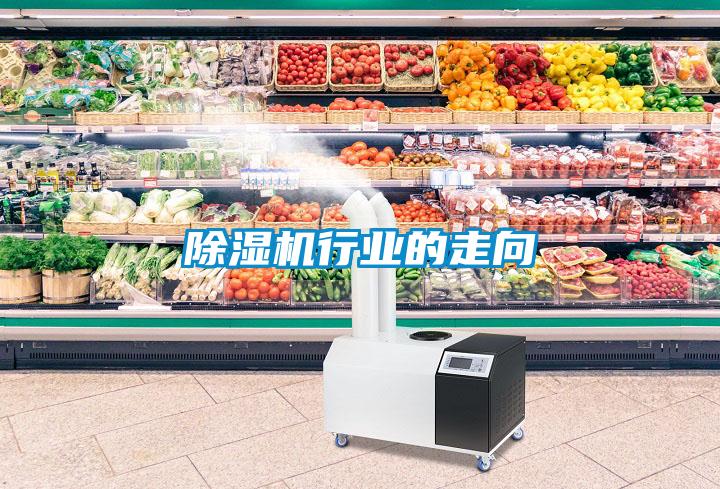 除濕機行業(yè)的走向
