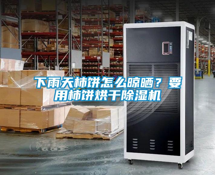 下雨天柿餅怎么晾曬？要用柿餅烘干除濕機
