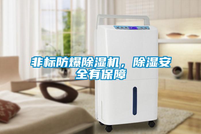 非標防爆除濕機，除濕安全有保障