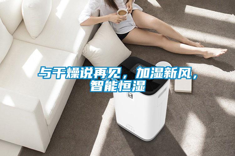與干燥說再見，加濕新風(fēng)，智能恒濕