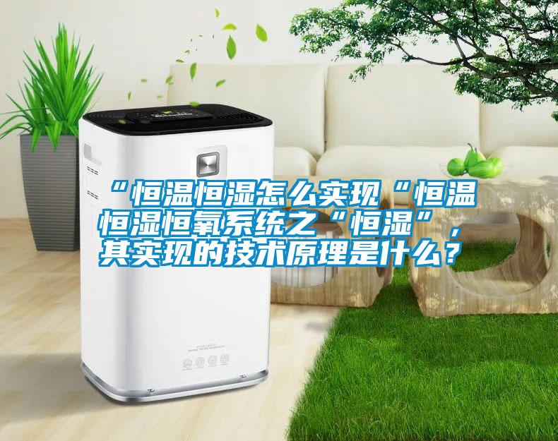 “恒溫恒濕怎么實現(xiàn)“恒溫恒濕恒氧系統(tǒng)之“恒濕”，其實現(xiàn)的技術原理是什么？