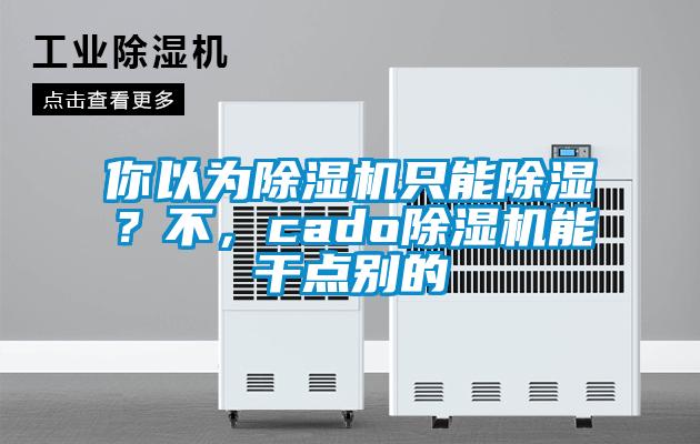 你以為除濕機(jī)只能除濕？不，cado除濕機(jī)能干點(diǎn)別的