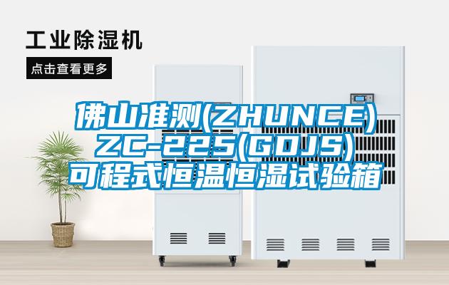 佛山準(zhǔn)測(ZHUNCE) ZC-225(GDJS) 可程式恒溫恒濕試驗箱