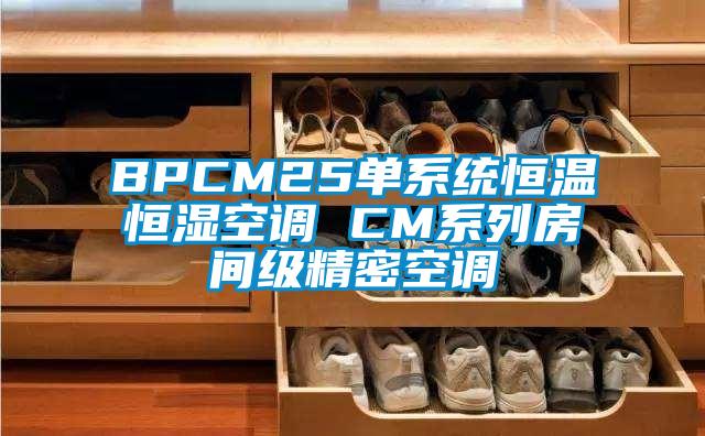 BPCM25單系統(tǒng)恒溫恒濕空調(diào) CM系列房間級精密空調(diào)