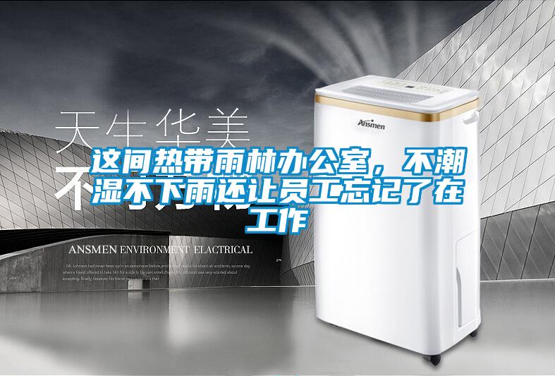 這間熱帶雨林辦公室，不潮濕不下雨還讓員工忘記了在工作