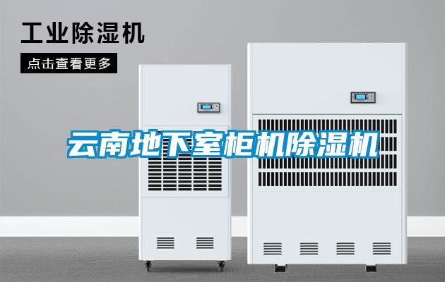云南地下室柜機(jī)除濕機(jī)