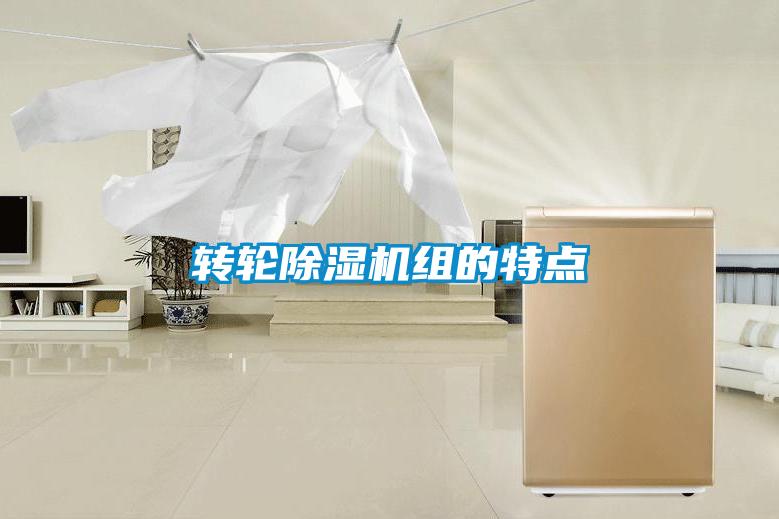 轉(zhuǎn)輪除濕機(jī)組的特點(diǎn)