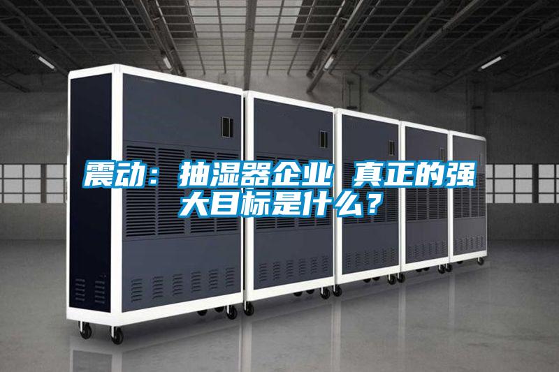 震動：抽濕器企業(yè) 真正的強大目標是什么？