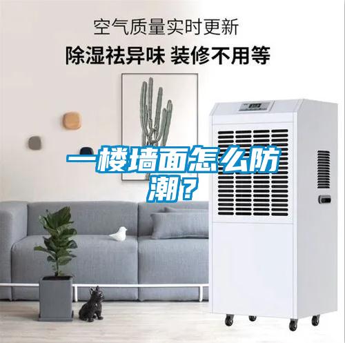 一樓墻面怎么防潮？