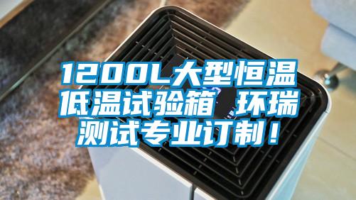 1200L大型恒溫低溫試驗(yàn)箱 環(huán)瑞測(cè)試專業(yè)訂制！