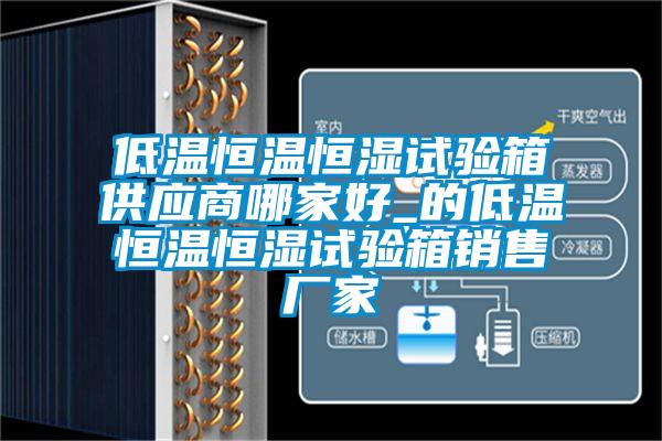 低溫恒溫恒濕試驗(yàn)箱供應(yīng)商哪家好_的低溫恒溫恒濕試驗(yàn)箱銷(xiāo)售廠家