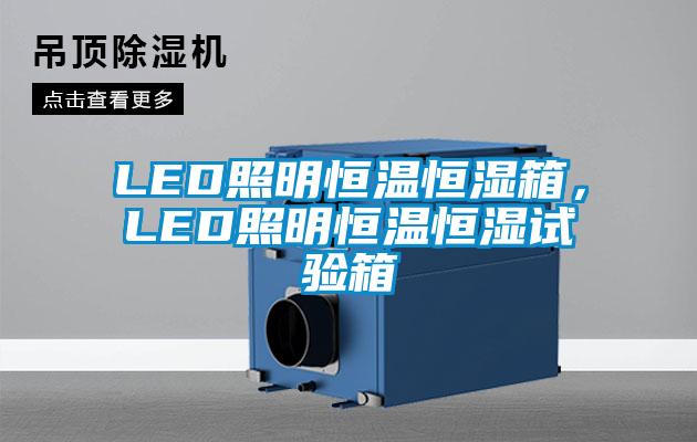 LED照明恒溫恒濕箱，LED照明恒溫恒濕試驗(yàn)箱