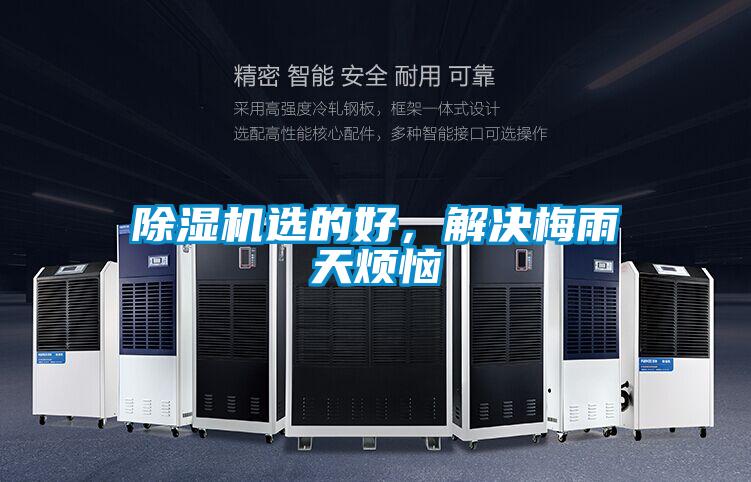 除濕機選的好，解決梅雨天煩惱