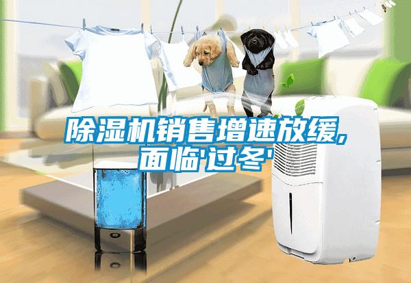 除濕機(jī)銷售增速放緩,面臨'過冬'