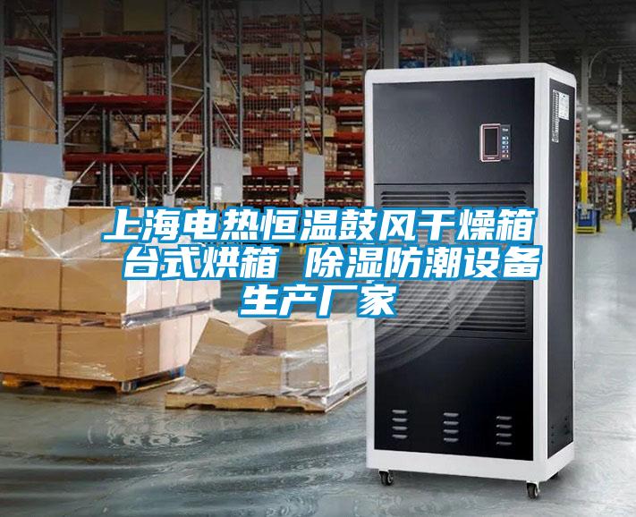 上海電熱恒溫鼓風(fēng)干燥箱 臺式烘箱 除濕防潮設(shè)備生產(chǎn)廠家