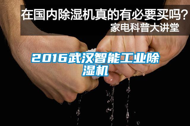 2016武漢智能工業(yè)除濕機