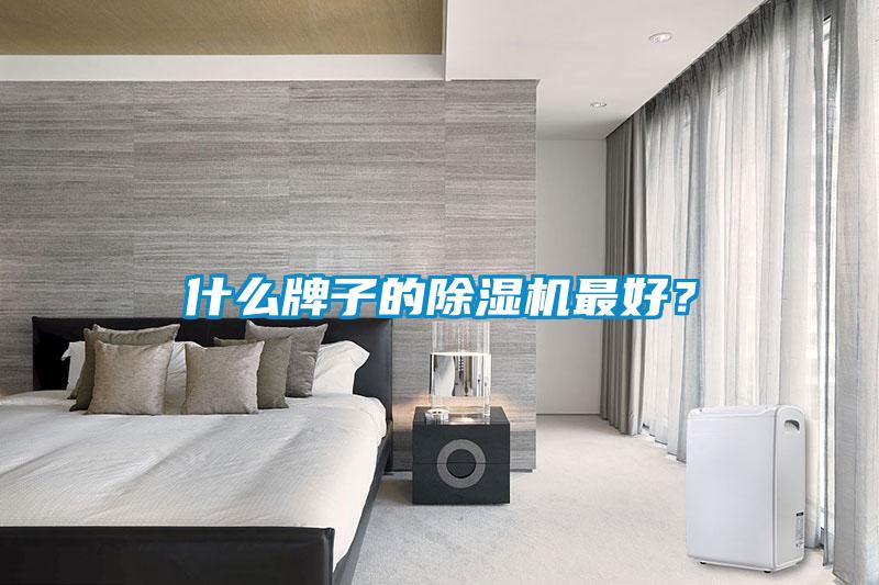 什么牌子的除濕機(jī)最好？
