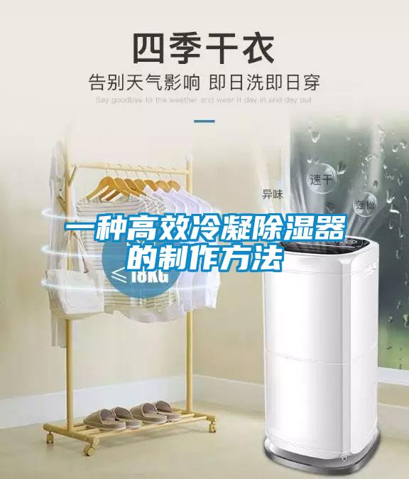 一種高效冷凝除濕器的制作方法