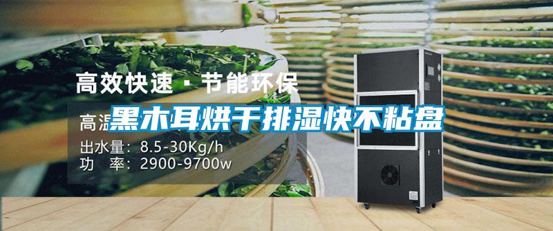 黑木耳烘干排濕快不粘盤
