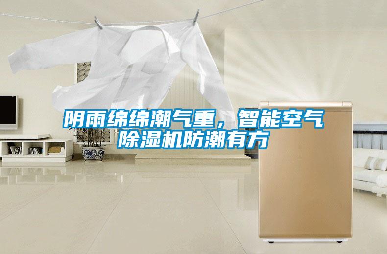陰雨綿綿潮氣重，智能空氣除濕機(jī)防潮有方