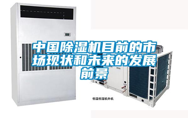 中國除濕機(jī)目前的市場現(xiàn)狀和未來的發(fā)展前景