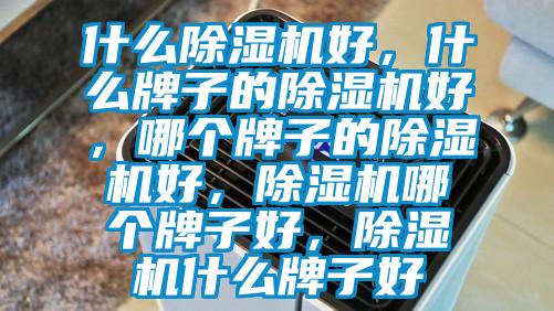 什么除濕機(jī)好，什么牌子的除濕機(jī)好，哪個(gè)牌子的除濕機(jī)好，除濕機(jī)哪個(gè)牌子好，除濕機(jī)什么牌子好