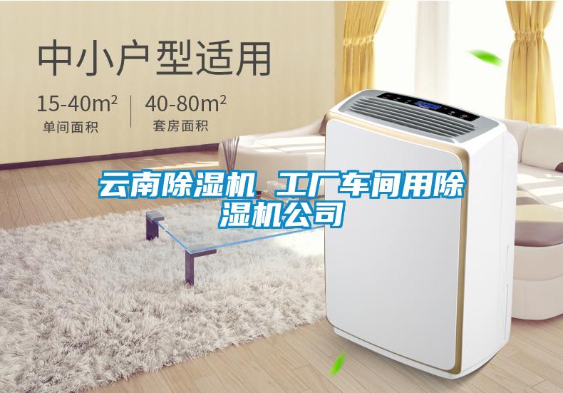 云南除濕機(jī) 工廠(chǎng)車(chē)間用除濕機(jī)公司
